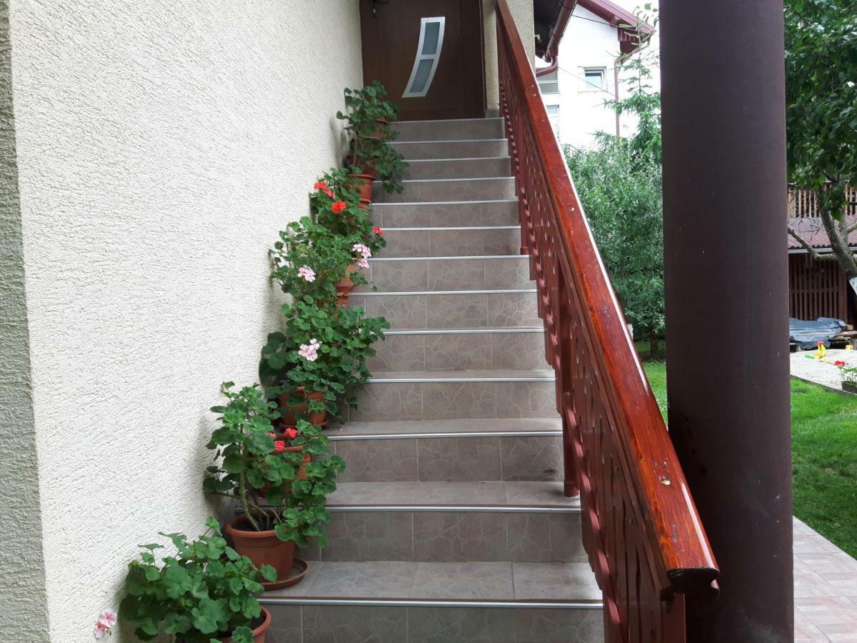 Apartman Petra & Tena สลูน ภายนอก รูปภาพ